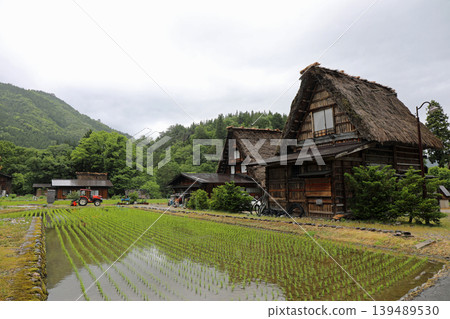 春日陰天的白川鄉 春日陰天的白川鄉 139489530
