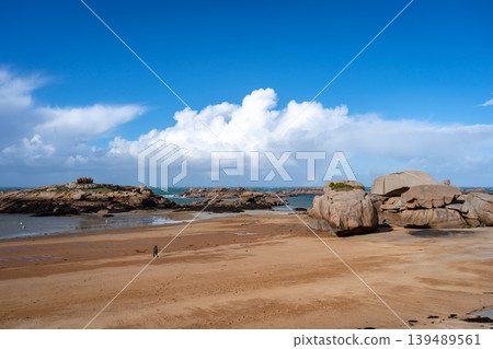Rocky tidal island under bright skies in Tregastel, Brittany, France 139489561