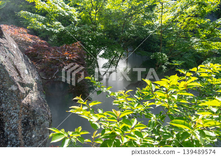 Misted garden of Daisho-in Temple on Miyajima Island, Japan Misted garden of Daisho-in Temple on Miyajima Island, Japan 139489574