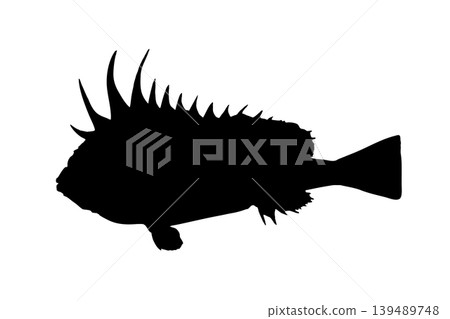 Silhouette illustration of a scorpionfish - dangerous fish material Silhouette illustration of a scorpionfish - dangerous fish material 139489748
