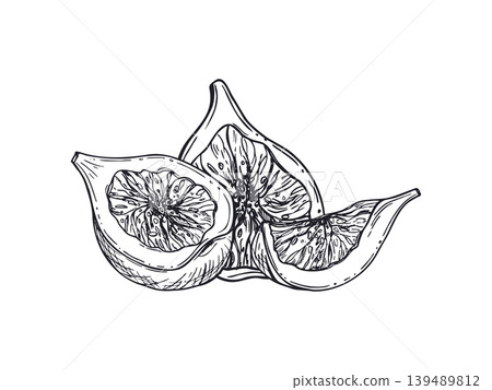 Fig fruit sliced in half vector line art black ink sketch. Hand drawn Mediterranean exotic plant illustration. Organic harvest drawing for menu element, healthy food design. Fig fruit sliced in half vector line art black ink sketch. Hand drawn Mediterranean exotic plant illustration. Organic harvest drawing for menu element, healthy food design. 139489812