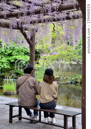 兩位遊客在西新井大師寺欣賞盛開的紫藤花。 139490019