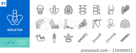 Human Skeleton Linear Icon Set. Thin Line Illustrations of Human Skeletal Bones and Joints Representing Anatomy, Orthopedics, Body Structure and Medical Healthcare Applications. Pixel Perfect Icons. Human Skeleton Linear Icon Set. Thin Line Illustrations of Human Skeletal Bones and Joints Representing Anatomy, Orthopedics, Body Structure and Medical Healthcare Applications. Pixel Perfect Icons. 139490051