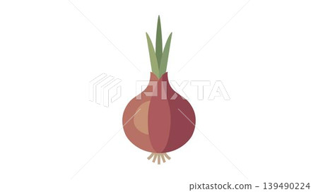 Red onion with green sprouts isolated on a white background vegetable ingredient illustration isolated background seasoning Red onion with green sprouts isolated on a white background vegetable ingredient illustration isolated background seasoning 139490224