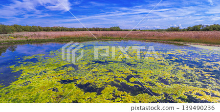 Tablas de Daimiel National Park, Spain 139490236