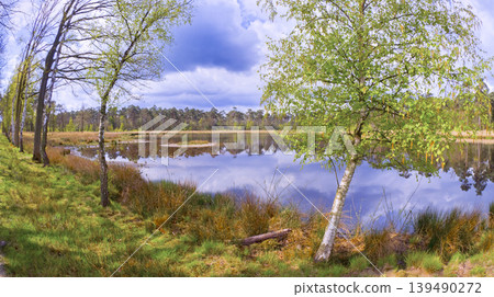 Mastbos Forest, Netherlands 139490272