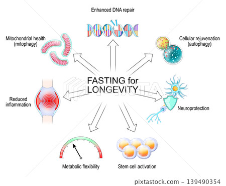 Fasting and Longevity benefits. Caloric restriction effects. Fasting and Longevity benefits. Caloric restriction effects. 139490354
