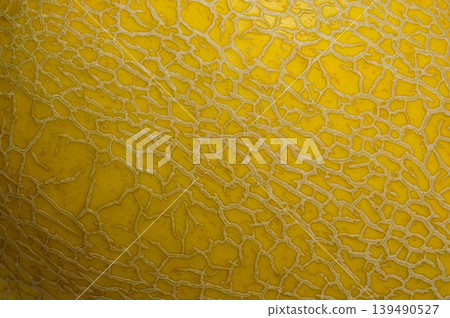 background texture surface of golden cantaloup background texture surface of golden cantaloup 139490527