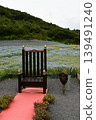 Chairs and Nemophila 139491240