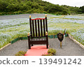 Chairs and Nemophila 139491242