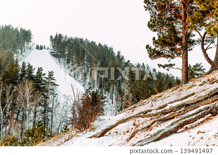 Bobrovy Log Ski Resort in Krasnoyarsk Siberia Russia view of ski track in winter 139491497