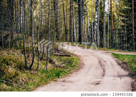 Green summer forest landscape greenwood forest trees, grass and cloudy sky Green summer forest landscape greenwood forest trees, grass and cloudy sky 139491588