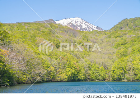A tranquil mountain pond reflecting the lush green forest: a spring scene (Hakkoda Mountains, Aomori Prefecture) 139491975