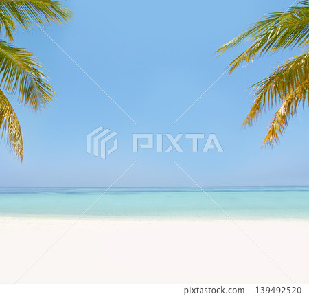 Landscape, sea and beach with palm tree in summer, mockup space or blue sky background by island. Nature, leaves and water in ocean for sustainability, holiday or vacation for sunshine in environment Landscape, sea and beach with palm tree in summer, mockup space or blue sky background by island. Nature, leaves and water in ocean for sustainability, holiday or vacation for sunshine in environment 139492520