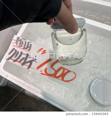 海天使（Clione）－被養在冰箱裡的寵物 139492943