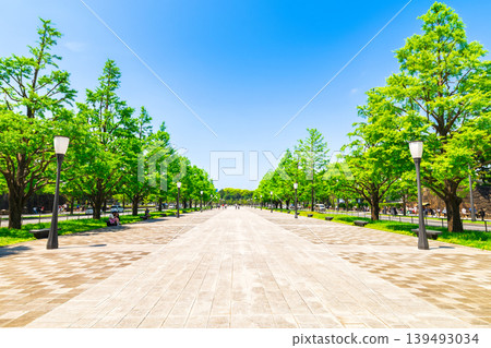東京，皇宮前的皇宮，周圍綠樹環繞。 139493034