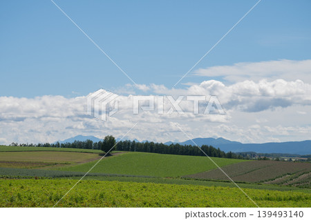 夏天的綠色高地和藍天 夏天的綠色高地和藍天 139493140