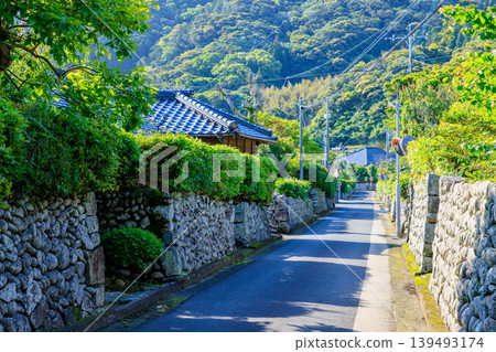 Samurai residence street at the foot of the village in early summer, Satsumasendai City, Kagoshima Prefecture 139493174