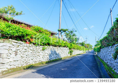 Samurai residence street at the foot of the village in early summer, Satsumasendai City, Kagoshima Prefecture Samurai residence street at the foot of the village in early summer, Satsumasendai City, Kagoshima Prefecture 139493180