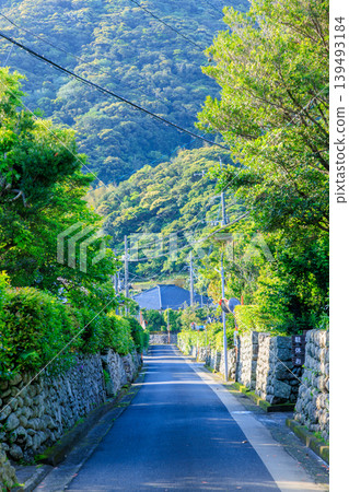 初夏時節，鹿兒島縣薩摩仙台市，村莊腳下的武士住宅街道 139493184