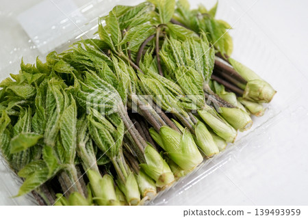 Seasonal wild vegetables: Exceptionally fresh wild Koshiabura sprouts Seasonal wild vegetables: Exceptionally fresh wild Koshiabura sprouts 139493959