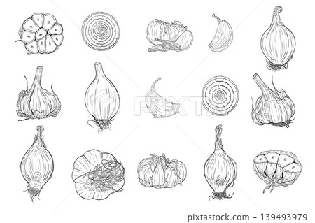 Garlic, onion and shallot vegetable set Garlic, onion and shallot vegetable set 139493979