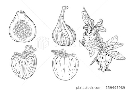 Fig, pomegranate and persimmon fruit set Fig, pomegranate and persimmon fruit set 139493989