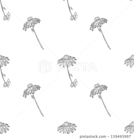 Daisy, Black-eyed Susan seamless pattern in detailed line art style. Repeating floral background with chamomile flowers Daisy, Black-eyed Susan seamless pattern in detailed line art style. Repeating floral background with chamomile flowers 139493997