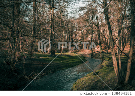 Small river flowing in forest park autumn spring landscape on sunny day panorama Small river flowing in forest park autumn spring landscape on sunny day panorama 139494191