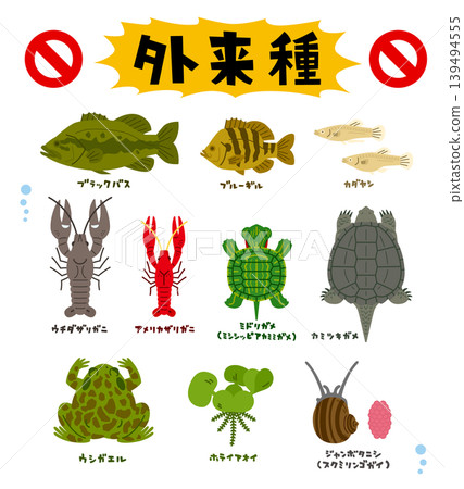 10種入侵物種的無輪廓插圖 10種入侵物種的無輪廓插圖 139494555