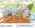 雨季景象 | 一隻青蛙棲息在繡球花籃裡 139494617