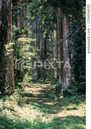 The torii gate of Oyama Shrine stands in the primeval forest of Yakushima Island. The torii gate of Oyama Shrine stands in the primeval forest of Yakushima Island. 139494685