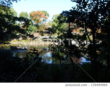 A tranquil pond and garden surrounded by trees and autumn foliage. A tranquil pond and garden surrounded by trees and autumn foliage. 139494969