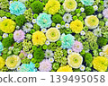 花水 139495058