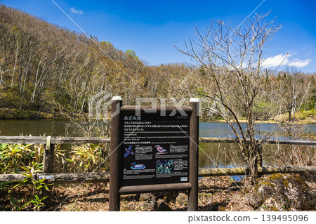 Spring scenery at Azami Pond in Norikura Highlands (information board and fresh greenery) Spring scenery at Azami Pond in Norikura Highlands (information board and fresh greenery) 139495096