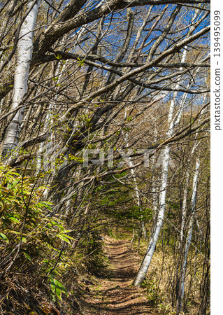 A stroll around Azami Pond in Norikura Highlands A stroll around Azami Pond in Norikura Highlands 139495099