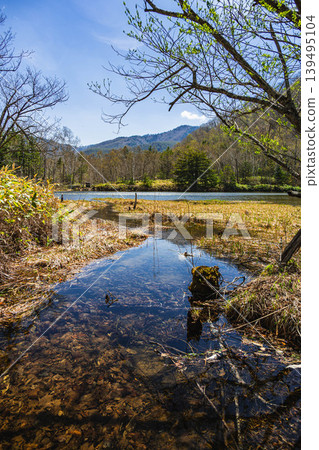 The clear surface of Azami Pond in the lush green Norikura Plateau. The clear surface of Azami Pond in the lush green Norikura Plateau. 139495104