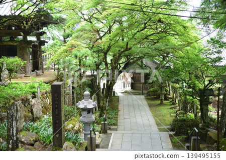 大雄山西乘寺：新綠 139495155
