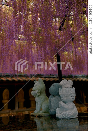 田原市紫苑寺紫藤花架亮燈 田原市紫苑寺紫藤花架亮燈 139495403