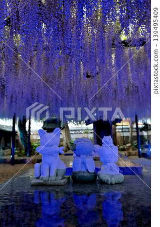 田原市紫苑寺紫藤花架亮燈 田原市紫苑寺紫藤花架亮燈 139495409