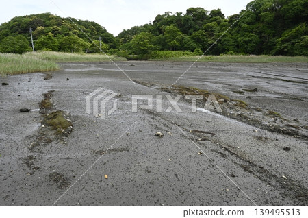 Koajiro tidal flats Koajiro tidal flats 139495513