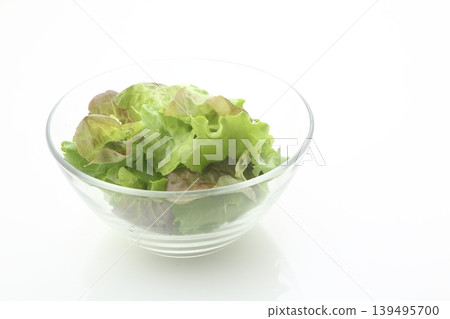 Two types of leaf lettuce Two types of leaf lettuce 139495700