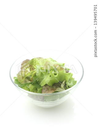 Two types of leaf lettuce 139495701
