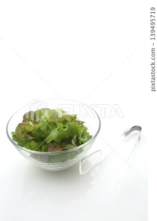 Two types of leaf lettuce salad Two types of leaf lettuce salad 139495719