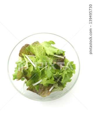 沙拉,包含兩種生菜葉和芹菜葉 沙拉,包含兩種生菜葉和芹菜葉 139495730