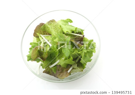 沙拉,包含兩種生菜葉和芹菜葉 沙拉,包含兩種生菜葉和芹菜葉 139495731