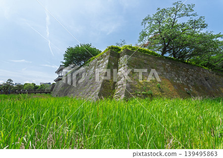 A view of the fresh greenery and blue sky as you look up at the stone walls of Tsurumaru Castle ruins (Kagoshima Castle Ruins) A view of the fresh greenery and blue sky as you look up at the stone walls of Tsurumaru Castle ruins (Kagoshima Castle Ruins) 139495863