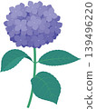 繡球花插圖 2（紫色），有莖和葉 139496220