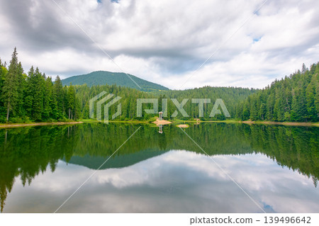 landscape by the lake on cloudy morning. coniferous forest near the lake and the forest mountain. awesome summer view of carpathian mountain reflection on synevr lake water surface. clean environment landscape by the lake on cloudy morning. coniferous forest near the lake and the forest mountain. awesome summer view of carpathian mountain reflection on synevr lake water surface. clean environment 139496642