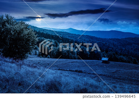 view of mountain meadow at night. full moon over countryside summertime landscape with beech forest on the grassy field on hill. dark sky. mysterious alpine background for travel through highland view of mountain meadow at night. full moon over countryside summertime landscape with beech forest on the grassy field on hill. dark sky. mysterious alpine background for travel through highland 139496645
